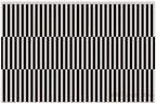 Modern Black & White Striped Rug