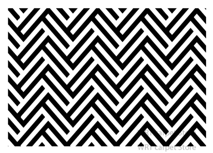 Modern Black & White Striped Rug